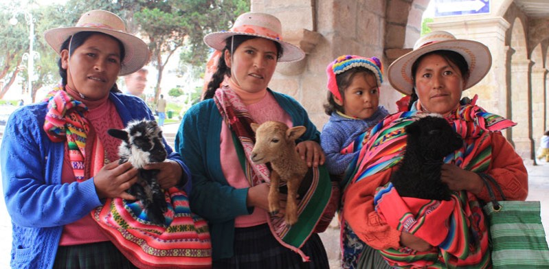 peruvian ladies and lambs