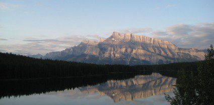 Exploring Canada’s gentle giants