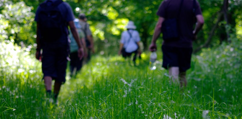 Walking near Osijek Croatia
