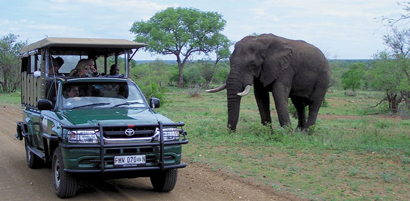 Kruger game drive in South Africa