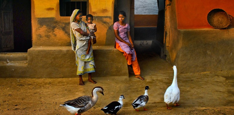 indian street scene with females and ducks