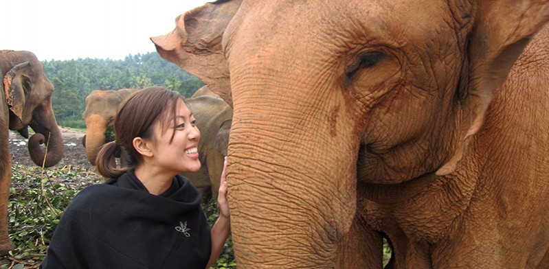 female patting an elephant