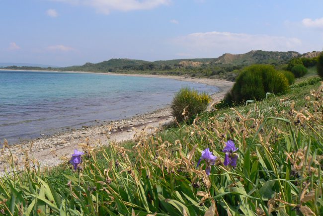 Anzac Cove Gallipoli Turkey