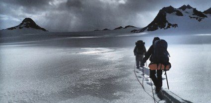 Saving Antarctica from man