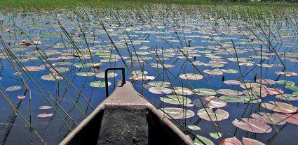 botswana boat