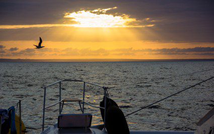 best galapagos island cruises