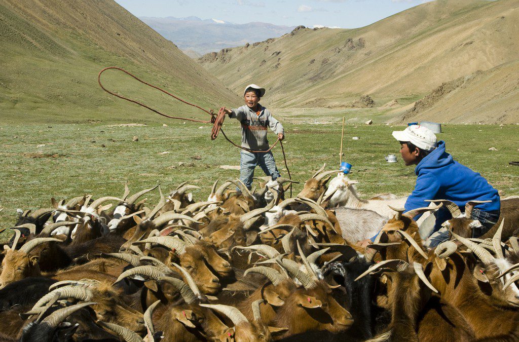 Mongolia