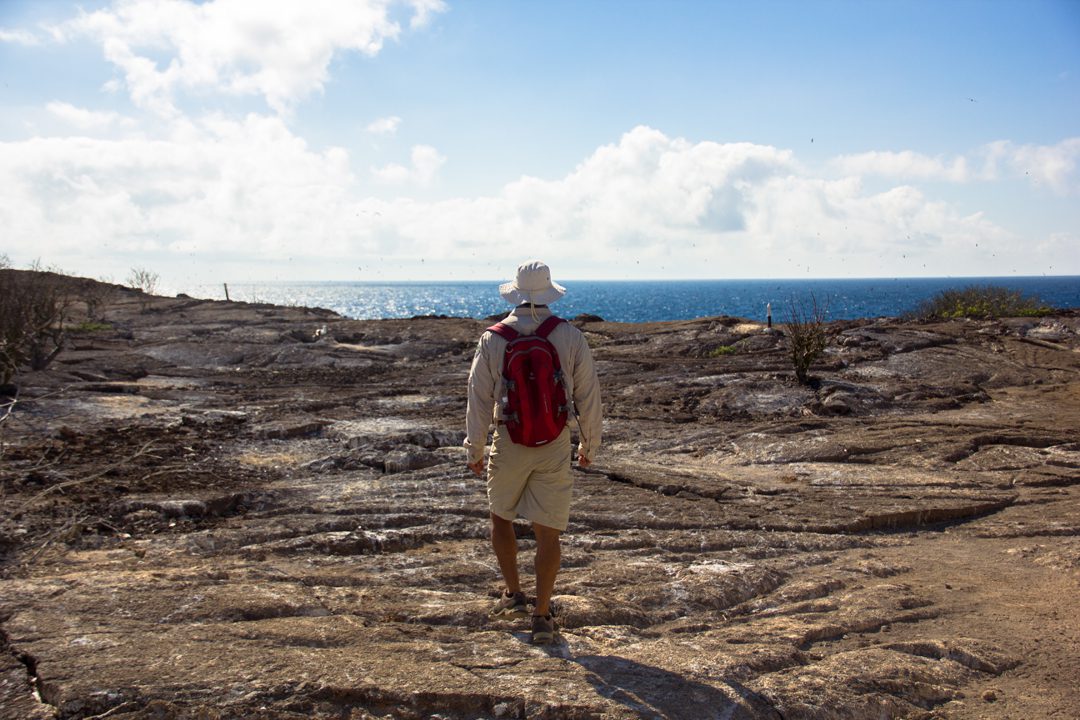 Genovesa Island Galapagos Islands 