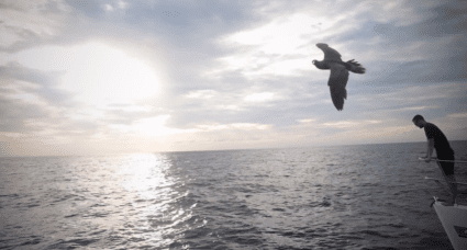 This is why you need to get to the Galapagos Islands