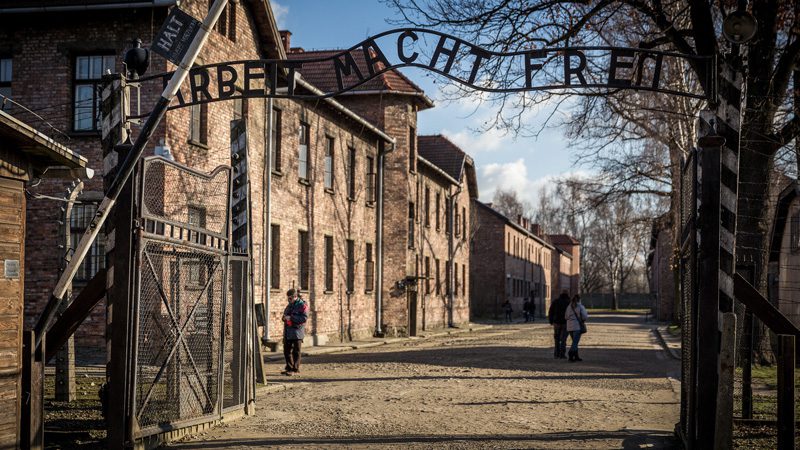 red guided tour auschwitz