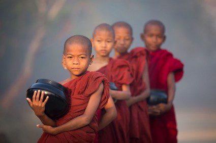 The results are in: Intrepid’s 2015 photo competition winner