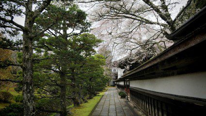 Monk life: what to expect from your Japanese monastery stay