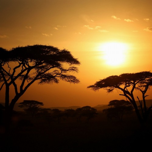 Love Africa? This is the Instagram feed you should be following right ...