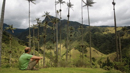 This couple quit their jobs to drive the Pan-American Highway. Here’s why they liked Colombia best.
