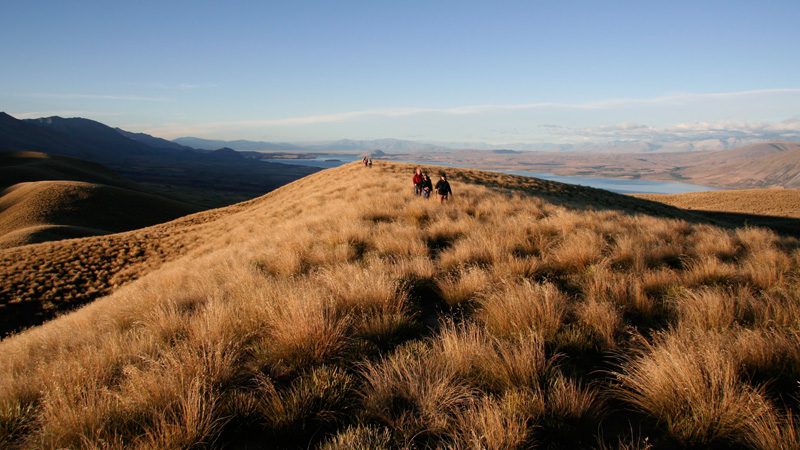 louise-new-zealand