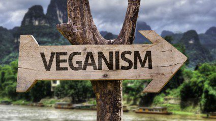 Travelling as a vegan? These are the 7 countries to visit