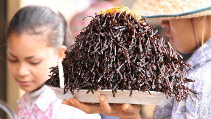 10 global dishes that are definitely outside your comfort zone