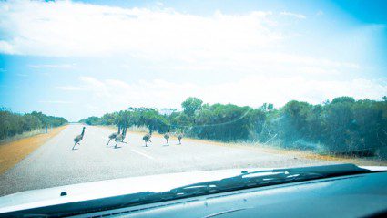 An Aussie roadtrip from Coral Bay to Cape Range (photos)