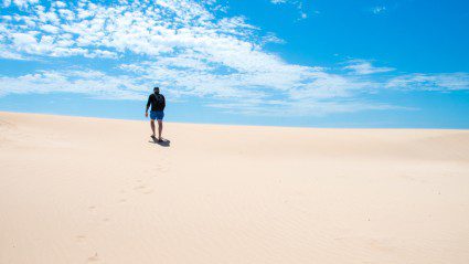 Stories from the road: we explore Ningaloo Reef with DriveAustralia