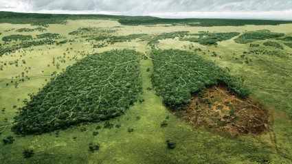 7 years of carbon neutral: this is how Intrepid offsets your trip