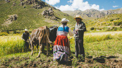 What it’s like to do a homestay in the Peruvian Andes