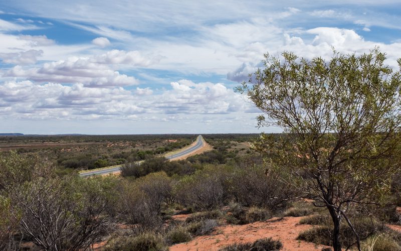 red centre -family---oliver-pelling-2