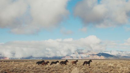 You won’t believe what photographer Kevin Russ can do with an iPhone
