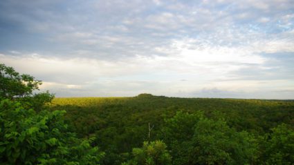 Expedition El Mirador: our latest off-map adventure