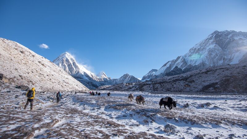 annapurna vs everest base camp trek