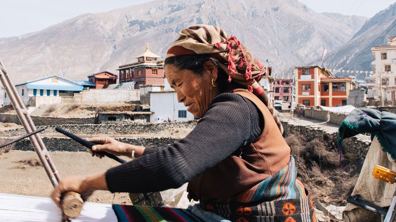 Nepal-monsoon-local---Common-Wanderer