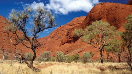 4 things to discover in Australia’s Red Centre