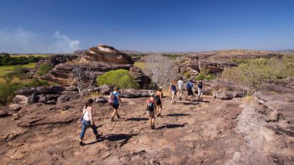 Behind the scenes on a Kakadu group tour