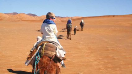 Want to travel with the family? 8 tips from Trip in a Van