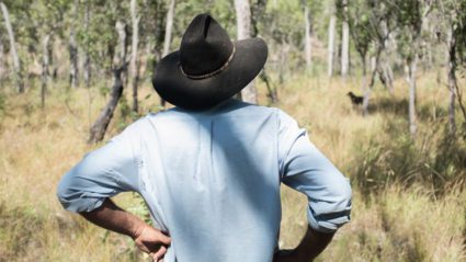 Sustainable tourism and the future of the Northern Territory