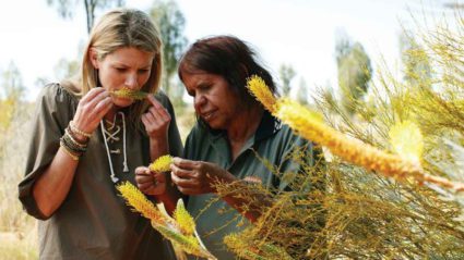 Bush tucker basics: 5 native ingredients you can use at home
