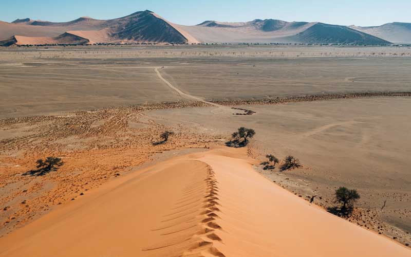 namibia-footsteps-on-sossusvlei-sand-dune-the-common-wanderer