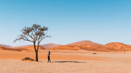 A journey through Sossusvlei, Namibia