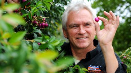 Meet the chef: an interview with Andrew Fielke