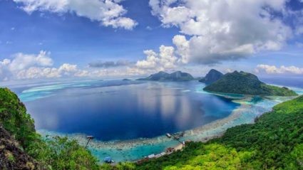 Trekking in the lost world of Sabah