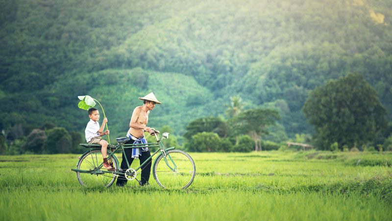 What three celebrities and crossing the road in Vietnam can teach