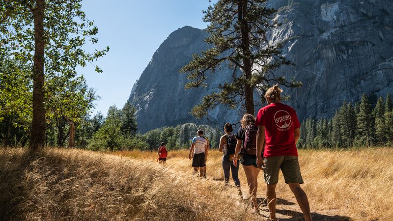 A group of travellers walking through Yosemite in the USA
