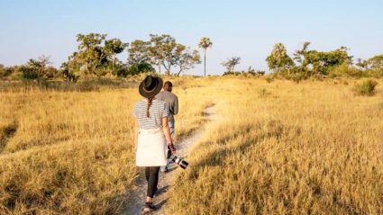 destination of an african safari tour