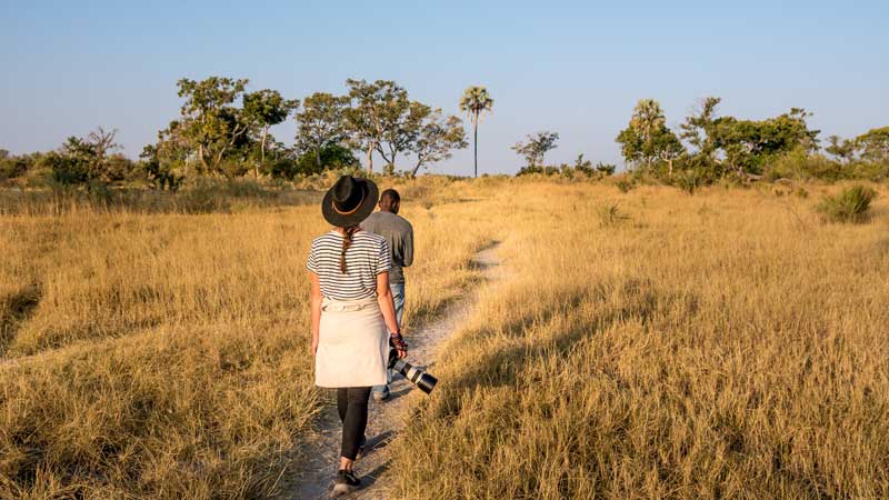 okavango-np-botswana-walking-the-common-wanderer
