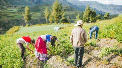 The 6 rules of responsible travel