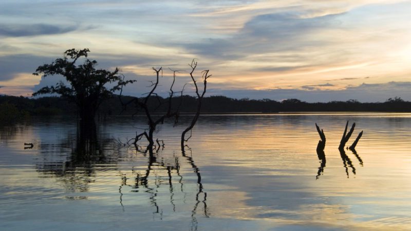 Ecuador Amazon