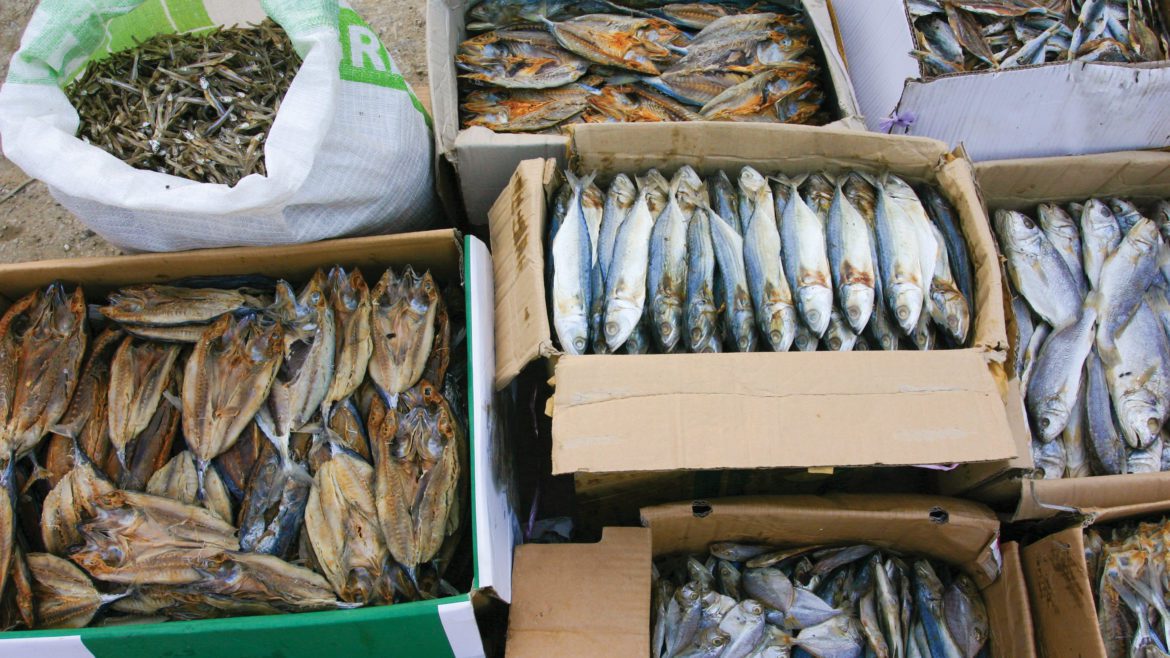 Why Northern Iceland is the next big thing Intrepid Travel Blog The