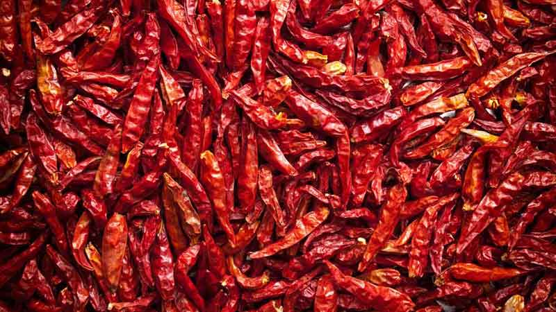 Did you know? - Red Chilies did not originate in India - Piping Pot Curry