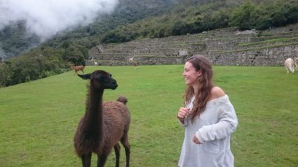 machu picchu tour from usa