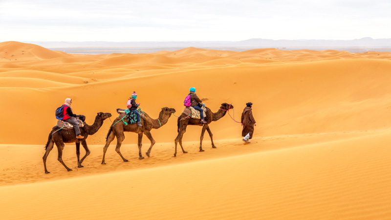 How to ride a camel like a pro in Morocco