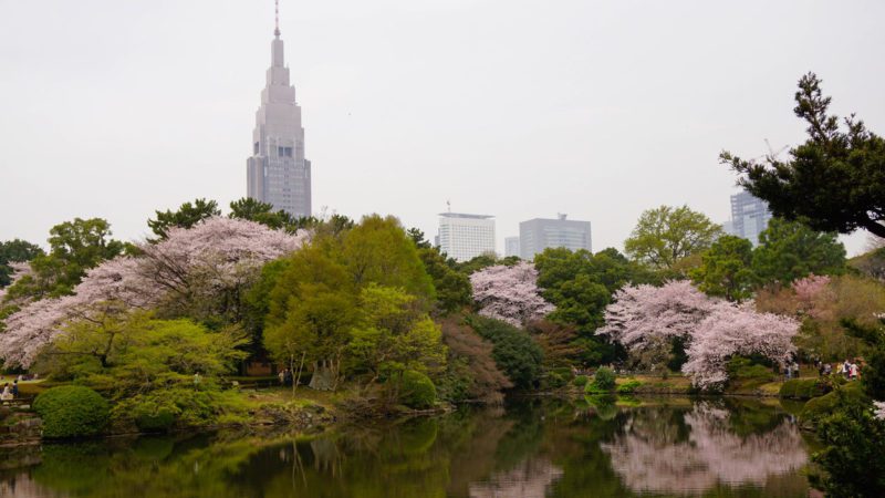 Shinjuku Gyoen Tokyo